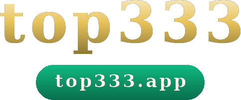 top333 logo
